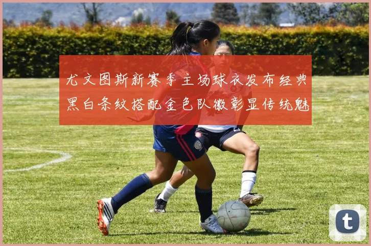 尤文图斯新赛季主场球衣发布经典黑白条纹搭配金色队徽彰显传统魅力
