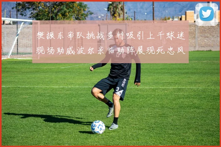 樊振东率队挑战多特吸引上千球迷现场助威波尔亲临助阵展现死忠风采